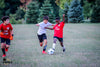 WINTER PROGRAM 2024
