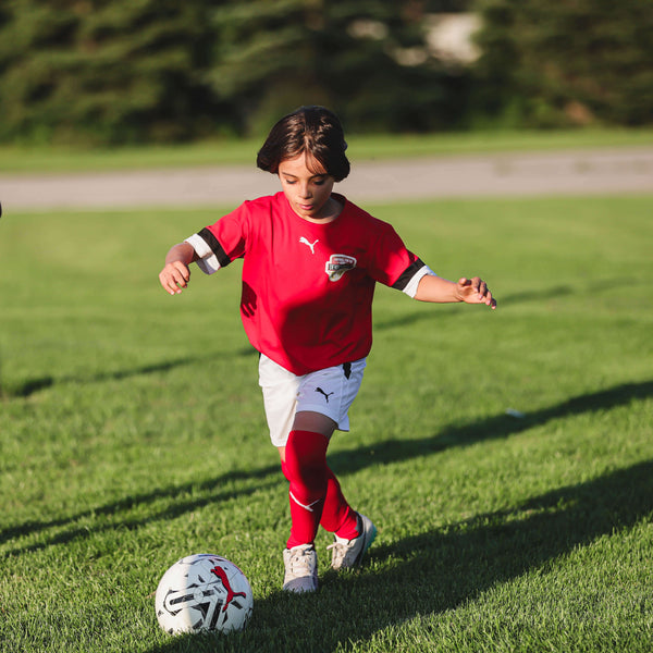 PD DAY CAMPS - 2024