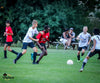PD DAY CAMPS - 2024