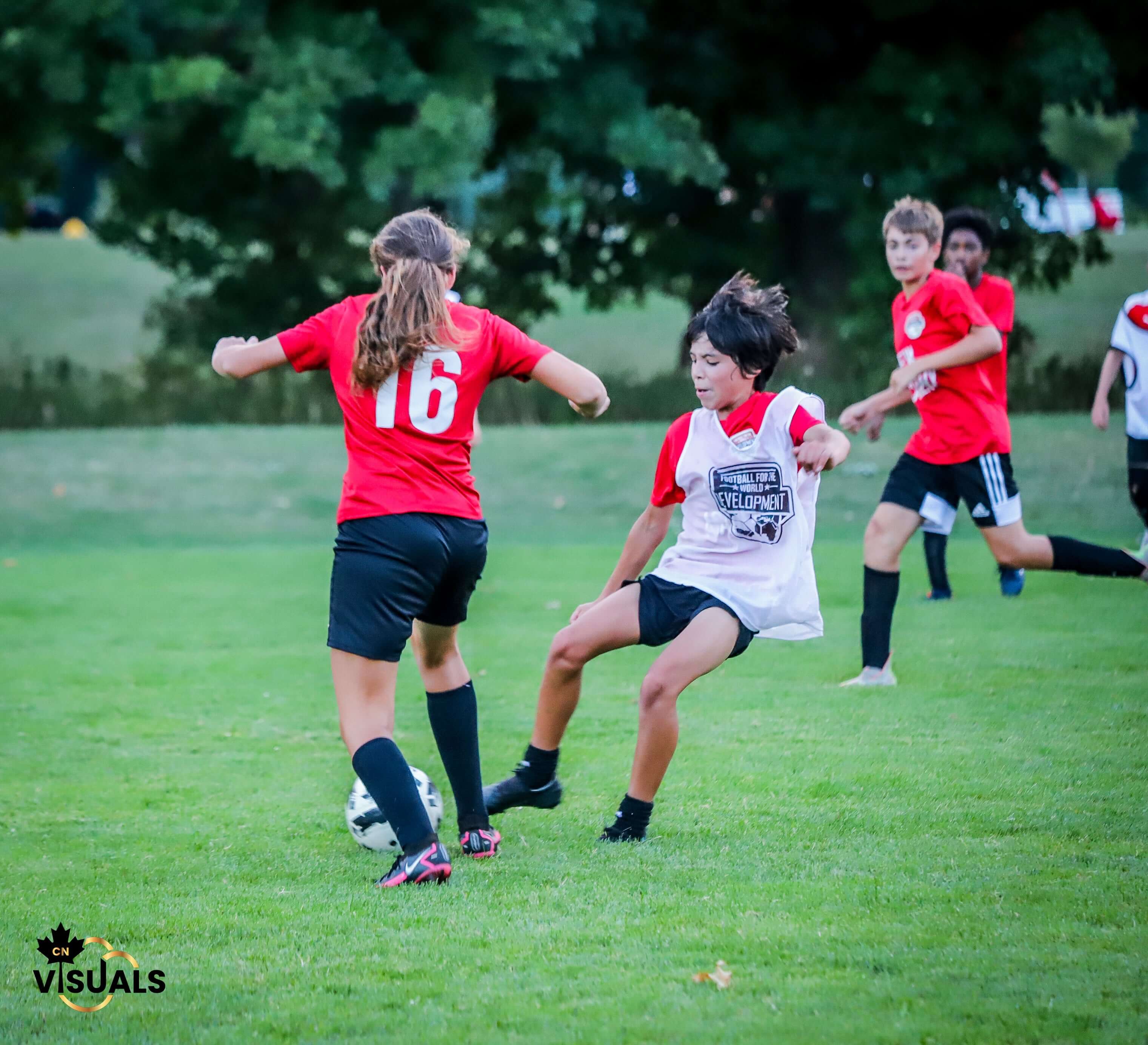PD DAY CAMPS - 2024