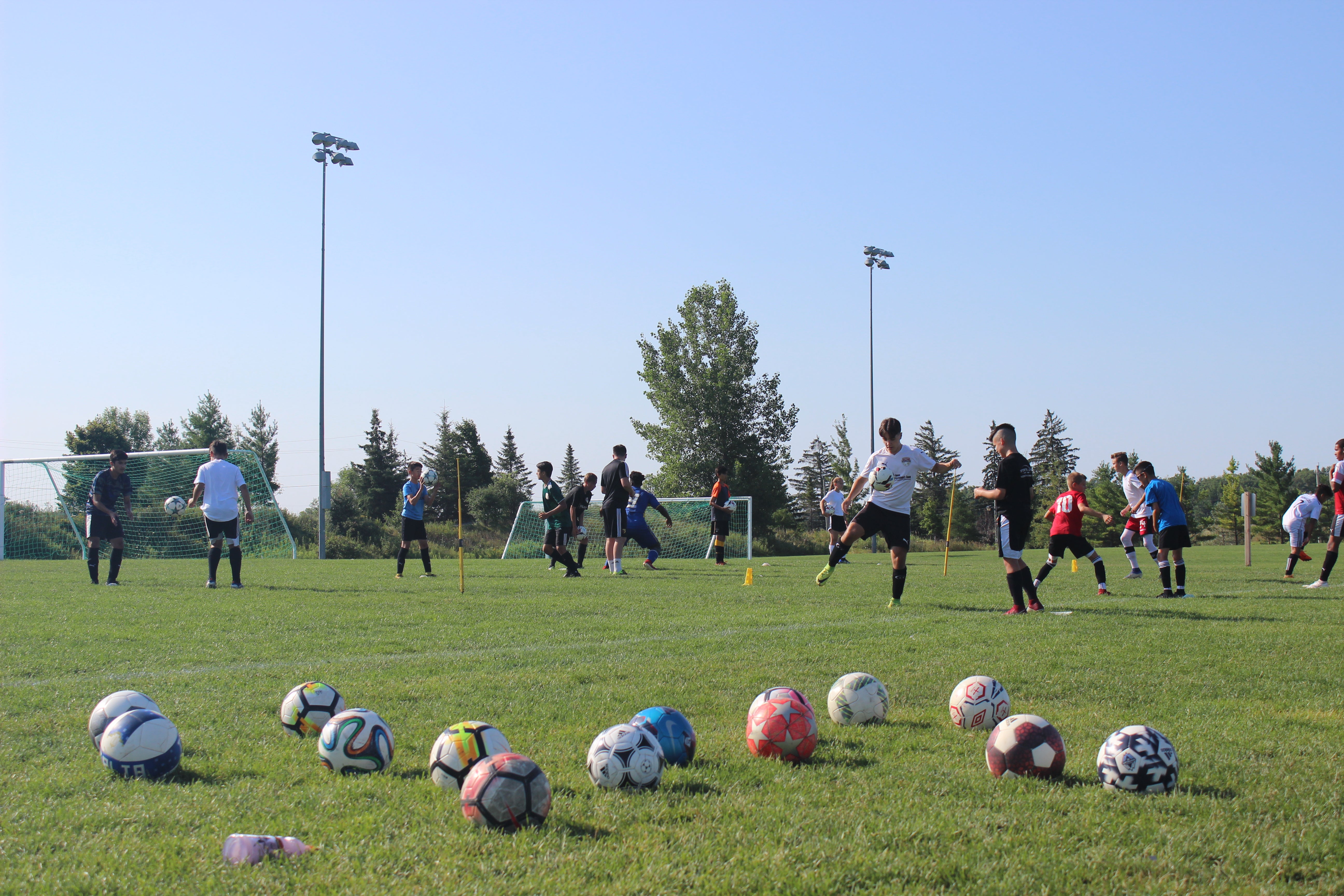 waterloo-summer-camp-2023
